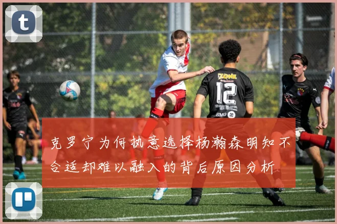 克罗宁为何执意选择杨瀚森明知不合适却难以融入的背后原因分析