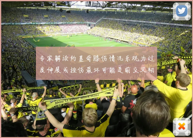 专家解读约基奇膝伤情况乐观为过度伸展或挫伤最坏可能是前交叉韧带撕裂